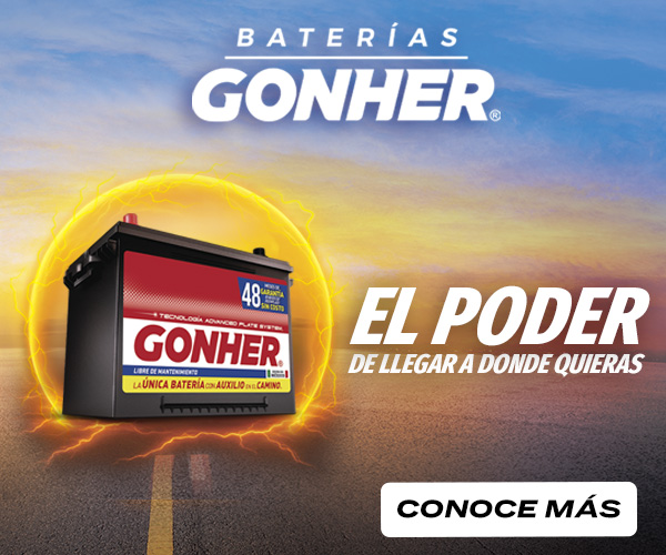 bateria de auto gonher