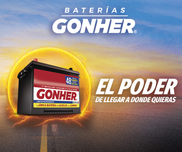 bateria de auto gonher